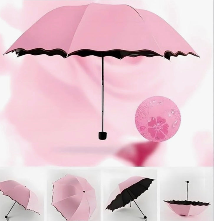 Renee Pink Colour Umbrella